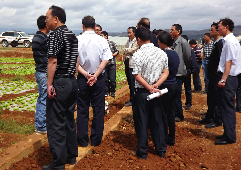 孔副省長視察曙光基地